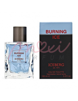Iceberg Burning Ice, edt 100ml - Teszter