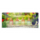 Guerlain Mini Set, 4 x 7,5ml Aqua Allegoria (Limon Verde, Mandarine Basilic, Herba Fresca, Flora Rosa)