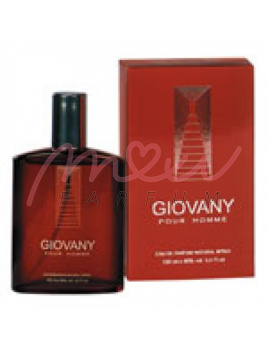 Chatier Giovany Pour Homme edt 100ml, (Alternatív illat Givenchy Pour Homme)