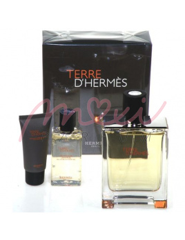 Hermes Terre D Hermes, Edt 100 + 5ml toaletní voda + 40ml Tusfürdő