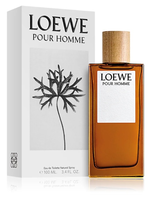 Loewe Loewe Pour Homme, edt 100ml