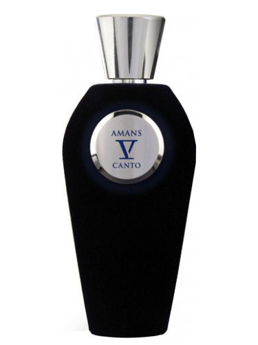 V Canto Armans, Parfumovaný extrakt 100ml - Teszter