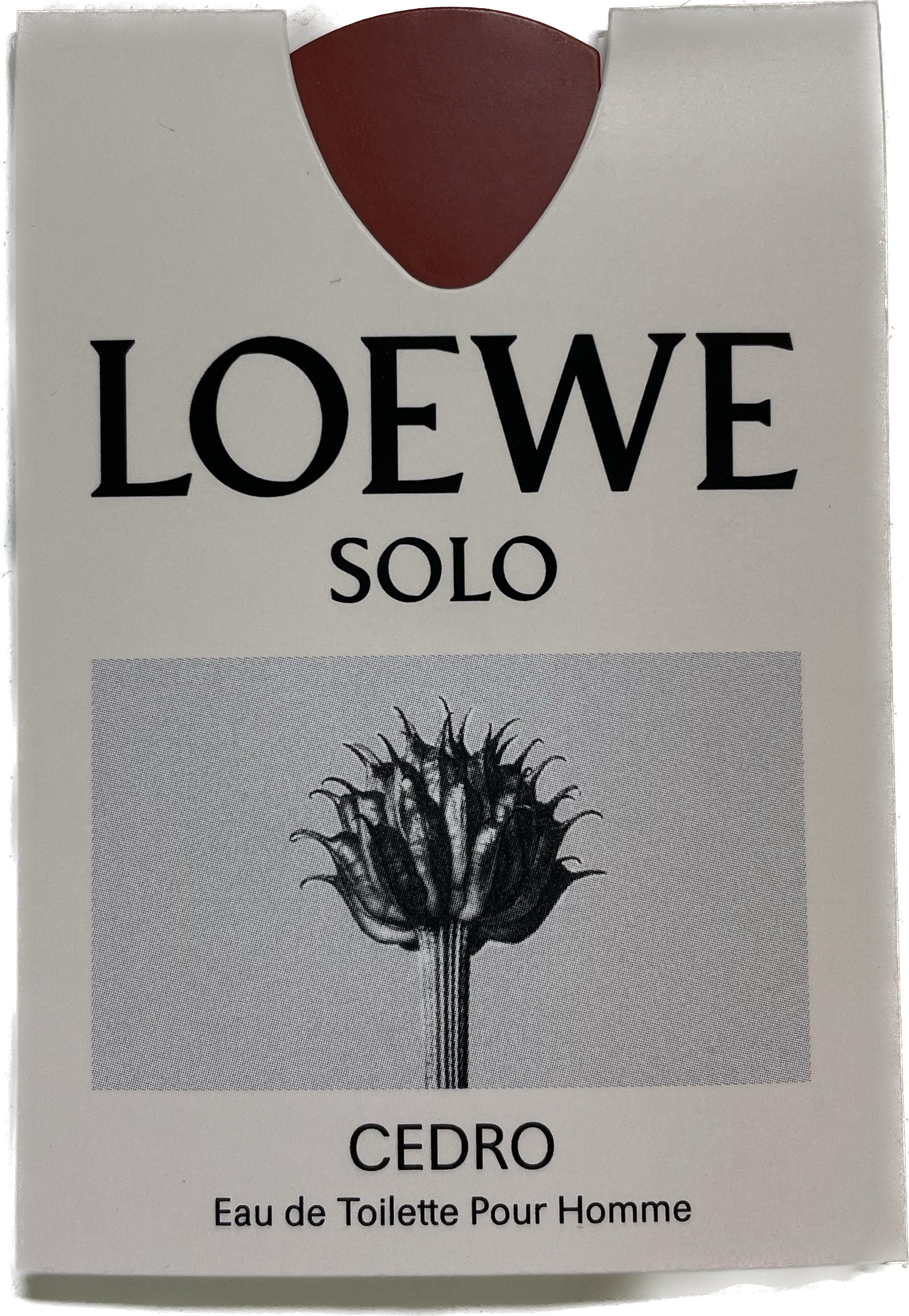 Loewe Solo Cedro, EDT - Vial 0,3ml